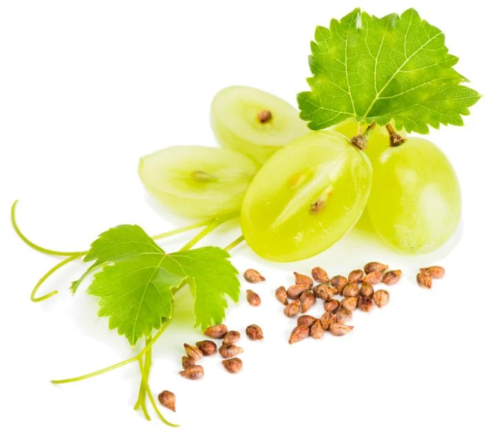 Chiết xuất hạt nho